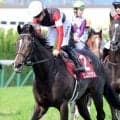 【注目馬動向】セレクト５・９億円馬エムズビギンは日本ダービー目指す　除外なら同日の白百合Ｓへ