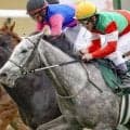 【ヴィクトリアM】ヒダカBUが8年ぶりJRA・GI制覇なるか 函館SS覇者のカピリナが参戦