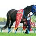 【注目馬動向】オークス向かうラフターラインズが美浦トレセン帰厩　重賞初制覇のフローラＳを「素晴らしい脚を...」と小笠調教師