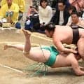 大関霧島が無傷の４連勝　若隆景、琴栄峰の３人が全勝　新関脇熱海富士は早くも３敗目