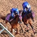 【ヴィクトリアＭ】２５年牝馬２冠馬に死角なし！エンブロイダリー坂路で絶好の動き　森一誠調教師も「いい動きだった」と好感触