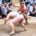 藤ノ川が３勝目　琴勝峰を突き落としで破る　新三役へ好調を維持
