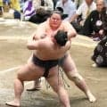 琴桜が２連勝　強烈な当たりから義ノ富士を圧倒、星を五分に