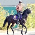毎日杯覇者のアルトラムスは日本ダービーで引き続き横山武史騎手とコンビ　皐月賞１８着から巻き返し期す