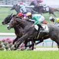 【注目馬動向】５月９日の１勝クラスを勝利したコルテオソレイユはラジオＮＩＫＫＥＩ賞へ