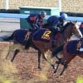 【ヴィクトリアＭ】今週もレーン旋風だ！チェルヴィニアと初コンタクトに「非常に乗りやすかった」　操作性に高評価