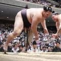 朝乃山　阿炎にいいところなく２敗目「相手のペースになった。だめでした」