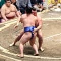 取組中に物言いつけるべきか否か　浅香山審判部長があらためて方針