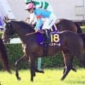 【注目馬動向】報知杯弥生賞Ｖバステールは引き続き川田将雅騎手と日本ダービーへ　皐月賞１１着から巻き返し狙う