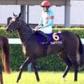 【注目馬動向】皐月賞５着フォルテアンジェロは日本ダービーで引き続き荻野極騎手が手綱