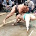 大関・霧島、一山本をはたき込んで無傷の４連勝　後退し「少し危なかった」