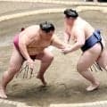 新入幕の若ノ勝、２連勝で３勝１敗　元大関・御嶽海を破り「戦える位置まできてうれしい」