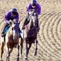 【オークス・１週前】桜花賞９着から巻き返しを図るドリームコアは１馬身先着　萩原調教師「全体的に良かった」