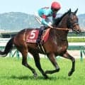 【注目馬動向】３戦無敗のコンジェスタスは引き続き西村淳也騎手と日本ダービーへ　コントレイルと父子制覇目指す