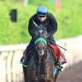 【ヴィクトリアＭ】武豊騎手「競馬場でテンションが…」　エリカエクスプレス快走のポイントは