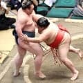 十両・嘉陽が今場所初白星　場所前の体重計測で減量していた理由を明かす「鶏刺しがあたって…」