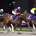 【エンプレス杯】ルメール騎手レース前から確信！？「勝つ自信がありました」　スタート後手もメモリアカフェが強烈末脚でＶ　