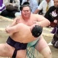 義ノ富士、大関・琴桜に敗れて自身初の３連敗「考えすぎないように」