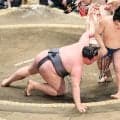 琴栄峰が平幕唯一の無傷４連勝　身長１９５センチの金峰山をがっぷり四つから下手投げ「今場所は体が動いている」
