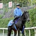【チャンピオンズ＆チャーターＣ】海外重賞連勝狙うディープモンスター国内最終追い切りで抜群の動き　池江調教師「動きも反応もよかった」