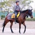 【エンプレス杯】重賞初制覇を狙ったプロミストジーンは４着　武豊騎手は敗因に距離を挙げ「短い方がいいかもしれない」と分析