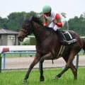 【ヴィクトリアM予想】臨戦過程や脚質にポイントあり AIが選ぶ本命馬は