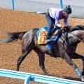 【新潟大賞典】アンゴラブラックは牝馬と感じさせないド迫力の動き　尾関調教師が挙げたカギは「普通なら舞台は向いている...」