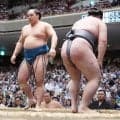 琴栄峰、平幕で唯一の４連勝「体が動いているので立ち合いだけ意識」５日目は狼雅