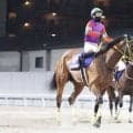 【エンプレス杯】松山「勝ち馬が思った以上のすごい脚」テンカジョウは連覇ならず2着まで