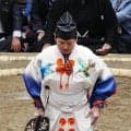 三役格行司の式守勘太夫が新装束をデザイン　川面に向かう色違いのカワセミ
