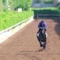 【ヴィクトリアM・ヤマタケが見た】千六ボディーでカムニャック、女王エンブロイダリーに勝つ
