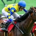 24年青葉賞を制した超良血馬 シュガークンが新潟大賞典で約2年ぶりの復帰戦だ