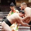 番付外の若狭が前相撲に出場　腰椎椎間板ヘルニアで２度手術、「次なったら引退」