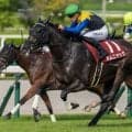 川田将雅騎手 ヴィクトリアマイルでJRA牝馬限定GI全制覇なるか