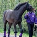 【注目馬動向】重賞２勝馬ショウヘイは札幌記念へ　友道調教師「合うと思います」　大阪杯１０着から巻き返し狙う