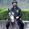 【注目馬動向】天皇賞・春３着のアドマイヤテラは武豊騎手で札幌記念を視野
