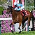 【ヴィクトリアマイル出走馬・騎手確定】エンブロイダリー＆C.ルメール騎手、カムニャック＆川田将雅騎手など18頭