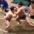 炎鵬が初日から５連勝「まさかです」脊髄損傷大けがから十両復帰場所で存在感