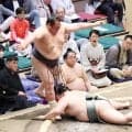 友風が連日の叩き込みで２勝目　部屋設置の酸素ルームが体調面をバックアップ