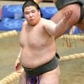 新幕下・龍葉山、無傷３連勝　場所前の稽古で「心が鍛えられた」