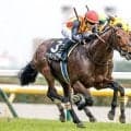 【新潟大賞典出走馬・騎手確定】ドゥラドーレス＆C.ルメール騎手、シュガークン＆武豊騎手など15頭