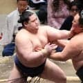 ４１歳の鉄人、玉鷲は５連敗　幕内在位１００場所目で苦戦続く　右膝に大きなサポーター