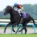 宝塚記念ファン投票の第１回中間発表　Ｇ１連勝中のクロワデュノールが１７万１２５３票を集め首位　２位は昨年覇者メイショウタバル