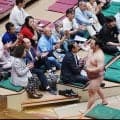 十両復帰の炎鵬５連勝　自己新初日から６連勝迫るも本人知らず「あるんですか？本当ですか？」