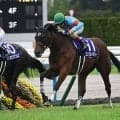 【ヴィクトリアマイル・調教後馬体重】エンブロイダリーは498kg、カムニャックは504kg