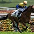 半兄は日本ダービー馬のマカヒキ クカイリモクが初勝利なるか