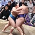 先場所優勝の霧島が快調５連勝、平幕の琴栄峰とともに勝ちっ放し　琴桜は３敗目　若隆景は初黒星