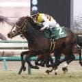 ２５年京成杯の覇者ニシノエージェントが競走馬登録を抹消　今後は地方に移籍へ