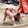 若隆景が初黒星　隆の勝に敗れ、連勝は４でストップ