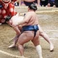 初日から５連敗の玉鷲　６日目の藤凌駕戦に向けて「おー、いいじゃん」と闘志燃やす